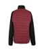 Veste Hybride Clumber Homme Pourpre Foncé Noir Regatta-3