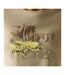 Womens/ladies Fingal Abstract Art T-shirt Parchment Regatta-4