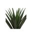 Plante Artificielle en Pot Yucca 130cm Vert & Noir