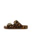 Sandales leopard  femme xti 144039-1