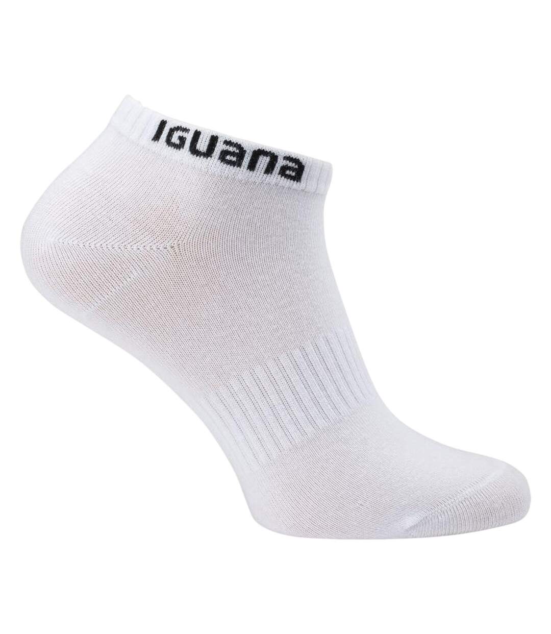 Socquettes Igino Adulte Blanc Iguana-2