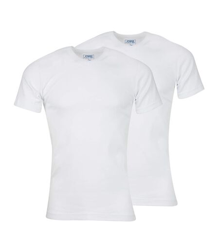 Lot de 2 tee-shirts col V homme Coton Bio