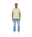 Mens Crytons Heavyweight T-shirt Sage Duck And Cover-4