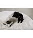 Tapis Rond Design Nina 200cm Blanc-4