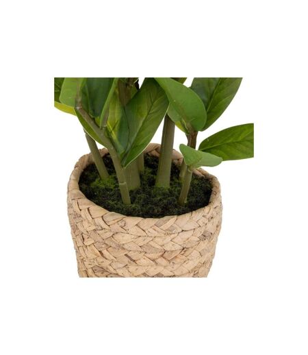 Plante Artificielle en Pot Zamio 41cm Beige & Vert