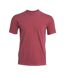 Unisex Adult Heavyweight T-shirt Brick Comfort Colors-1