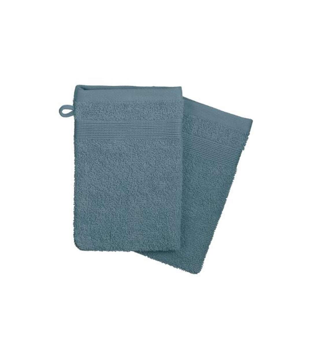 Lot de 2 Gants de Toilette Confort 15x21cm Orage-1