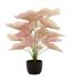 Plante Artificielle en Pot Caladium 57cm Rose Clair-1
