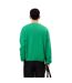 Sweat Style Badge Accent Adulte Vert Lacoste-3