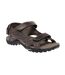 Regatta Great Outdoors Mens Haris Sandals (Peat) - UTRG758