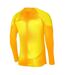 Maillot De Gardien De But Gardien Homme Jaune Nike-4