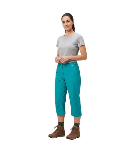 Womens/ladies Chaska Solid Straight Leg Trousers Enamel Regatta