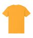 T-shirt Adulte Doré Cambridge University-2