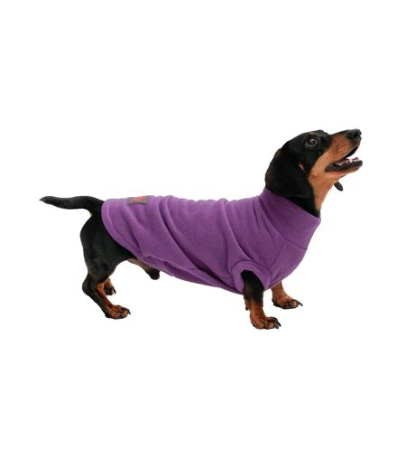 Pull pour chiens s violet Firefoot