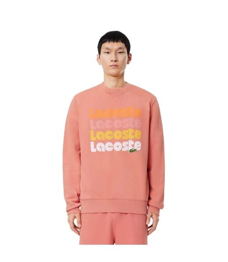 Sweat Motif/style Imprimé Homme Terracotta Lacoste