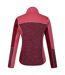 Regatta Womens/Ladies Lindalla VI Lightweight Fleece Jacket (Burgundy/Rumba Red) - UTRG9012