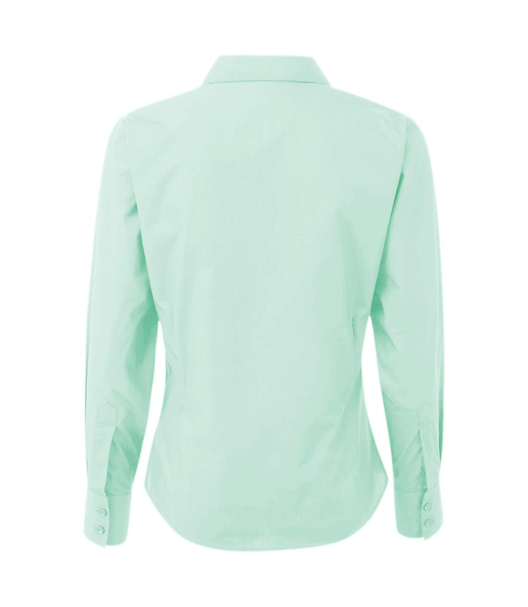 Womens/ladies poplin long-sleeved blouse aqua Premier