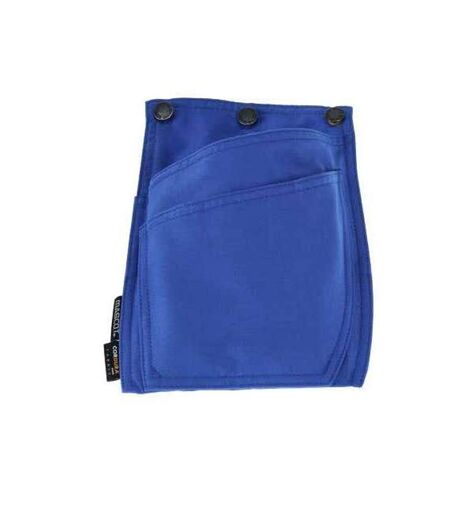 Complete Holster Azure Blue Mascot