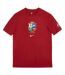 T-shirt Motif/style British & Irish Lions Homme Rouge Blanc Nike-1