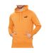 Sweat à Capuche Orange Puma Smlogo - M