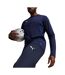 Mens Team Goal Training Jogging Bottoms Navy Blue Puma-4