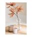 Vase Design en Verre Boule 36cm Transparent-3