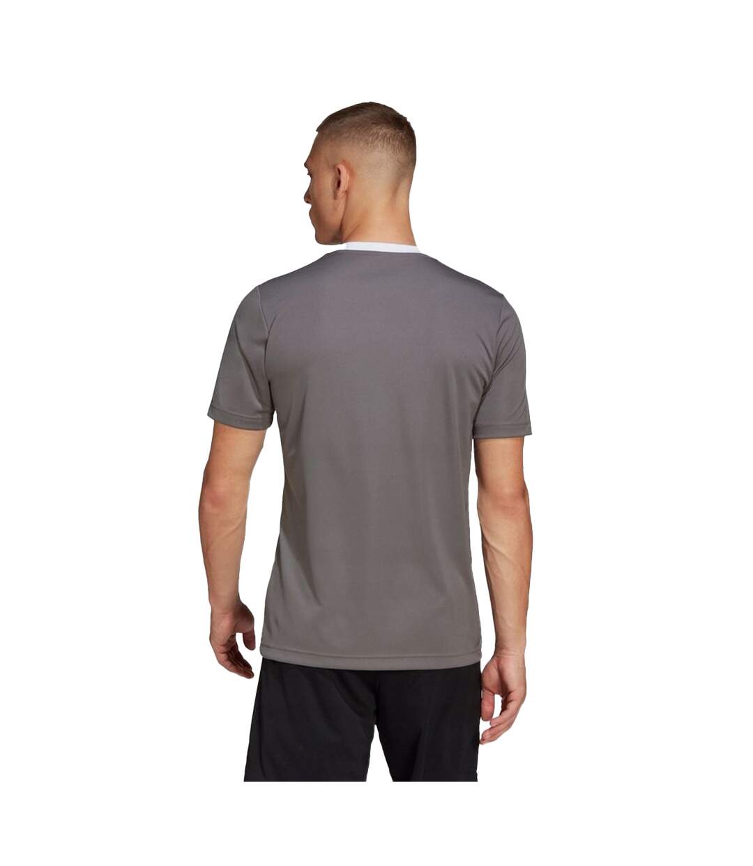 Maillot Entrada Homme Gris Argenté Adidas-3