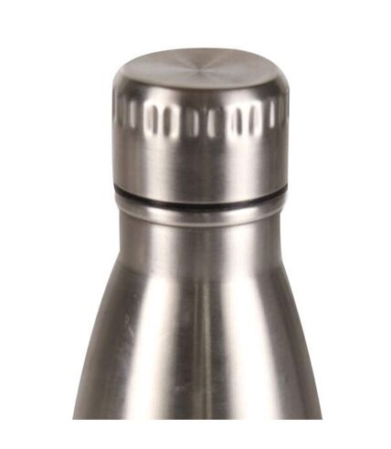 Regatta 25.3floz Insulated Water Bottle (Silver) (One Size) - UTRG6289