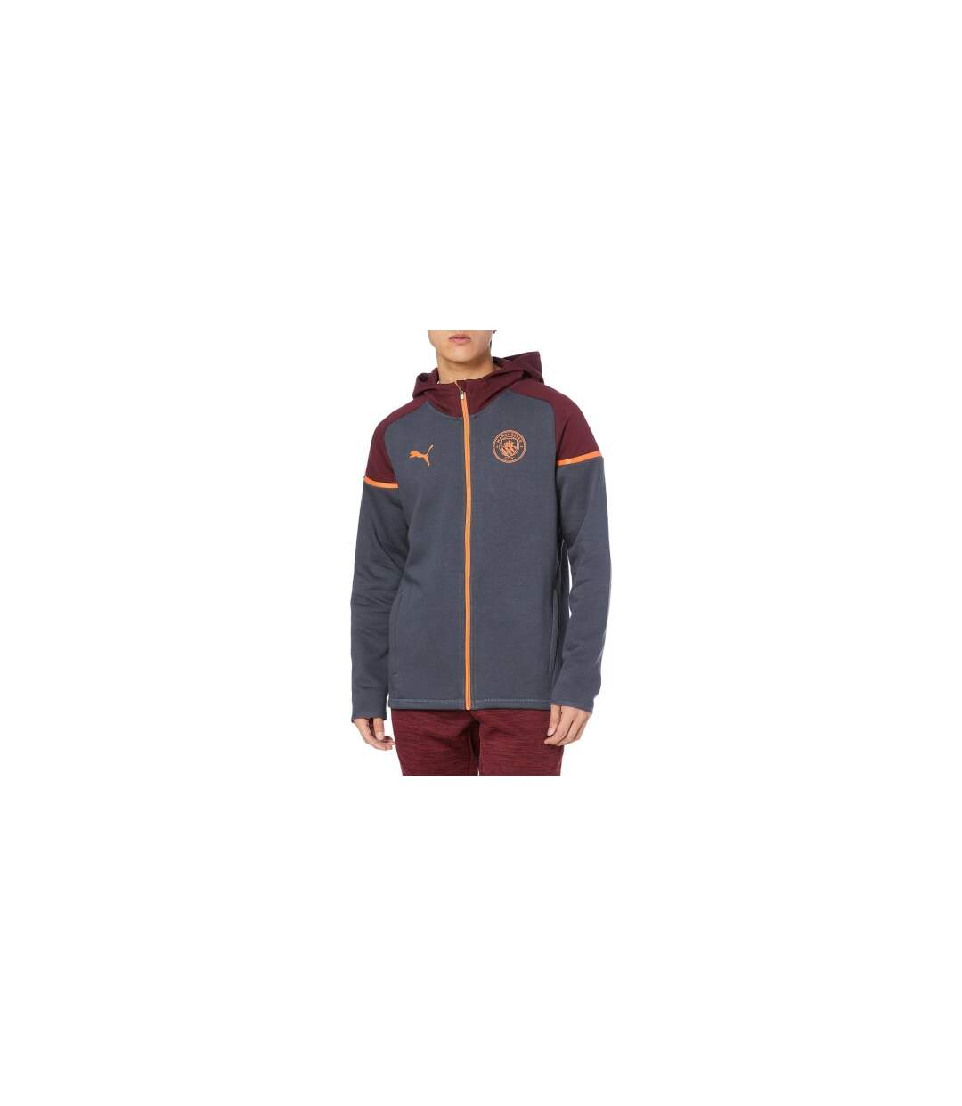 Mens Manchester City Fc Cotton Blend Hooded Jacket Grey Puma-1