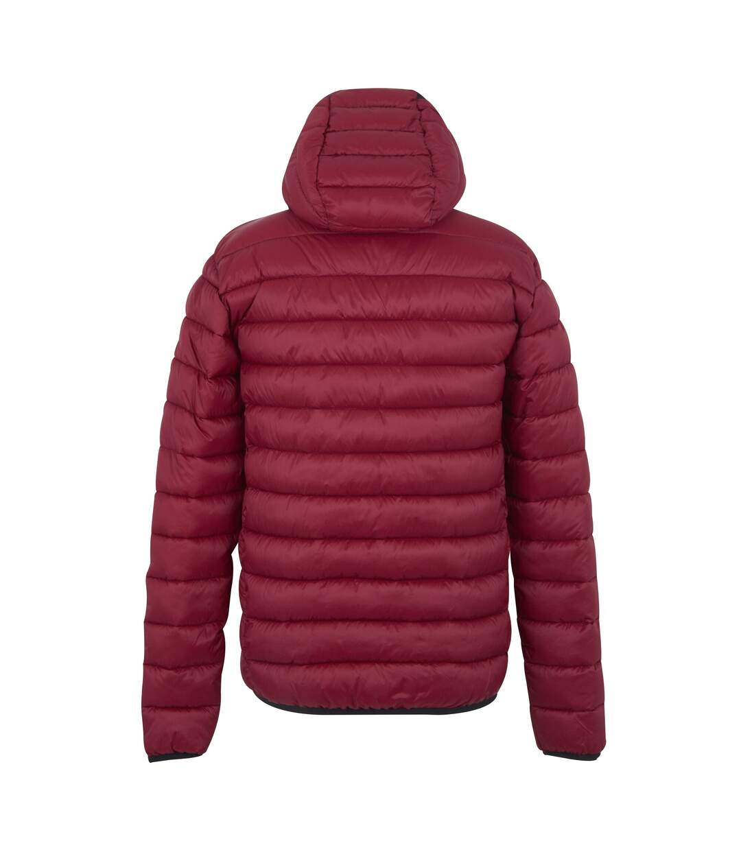 Doudoune Matelassée Marizion Homme Pourpre Foncé Regatta-3