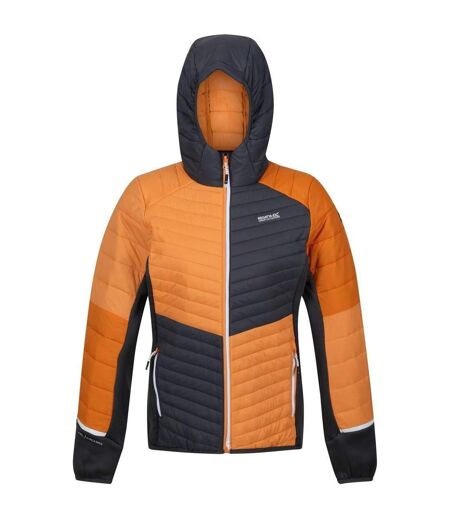 Doudoune À Capuche Motif/style Blocs De Couleurs Trutton Homme Orange Anthracite Regatta
