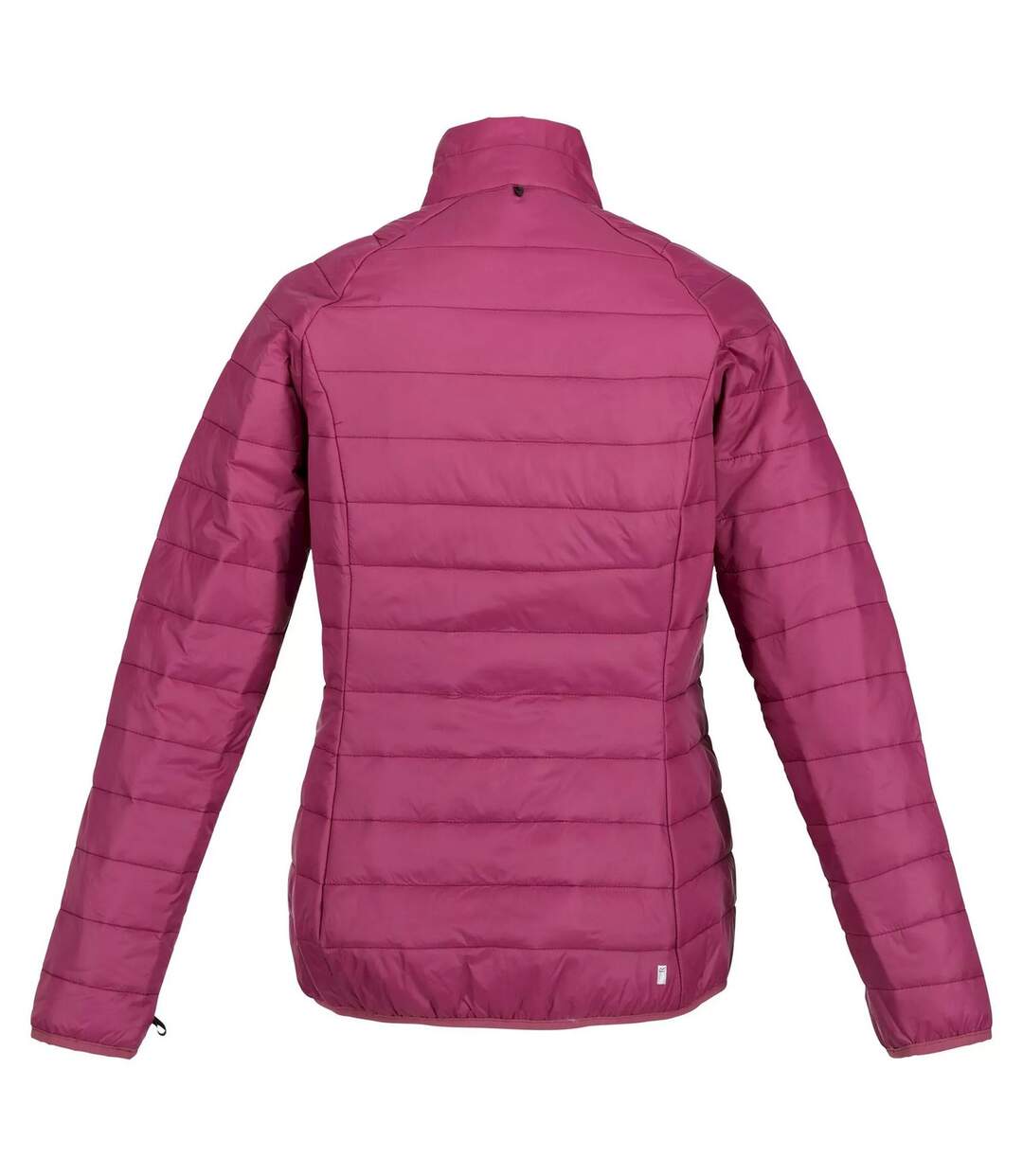 Veste imperméable wentwood femme violet / amarante Regatta-4