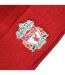 Liverpool FC Crest Knitted Turn Up Beanie (Red)