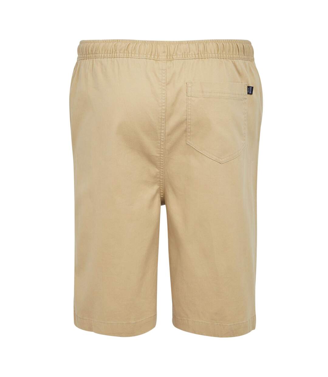 Mens Aldan Chino Shorts Oat Regatta-3