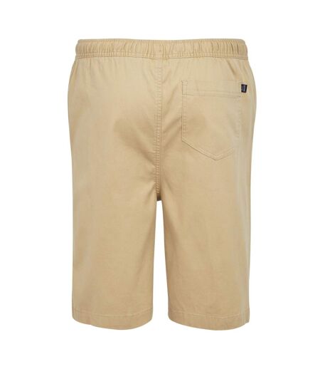 Mens aldan chino shorts oat Regatta