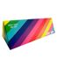 Gay Pride Rainbow Socks | BOXT Socks | 3 Pair Multipack | Novelty Socks in Gift Box 6-11