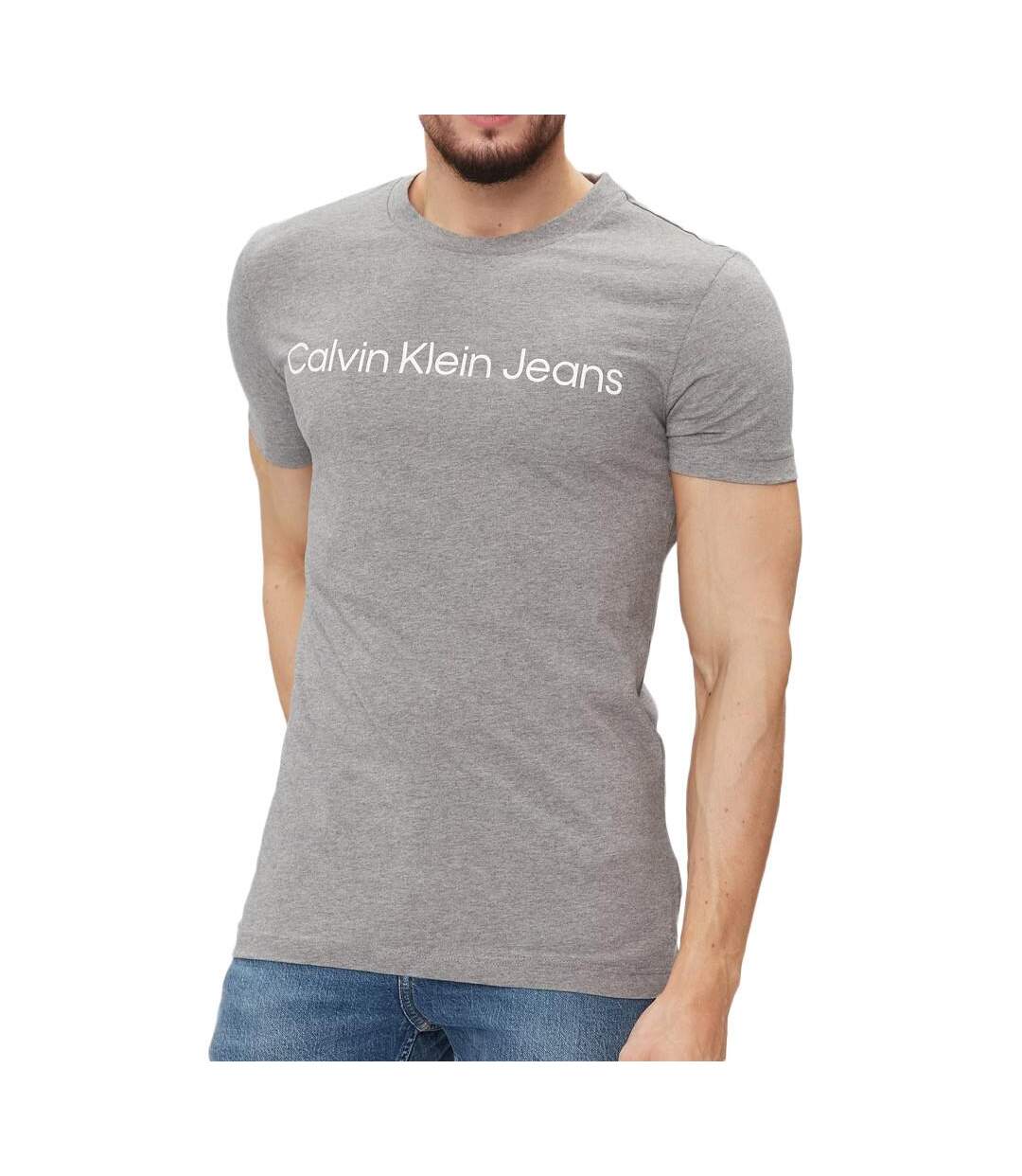 T-shirt Gris Homme Calvin Klein Jeans Institutional - M