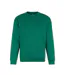 Mens Pro Sweatshirt Kelly Green Pro RTX-1