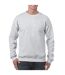 Gildan Mens Heavy Blend Sweatshirt (Ash)