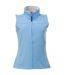Regatta Womens/Ladies Flux Softshell Bodywarmer / Sleeveless Jacket (Water Repellent & Wind Resistant) (Seal Grey) - UTRG1625