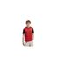 Mens World Cup 2026 Austria Fc Home Shirt Red Black Puma-1