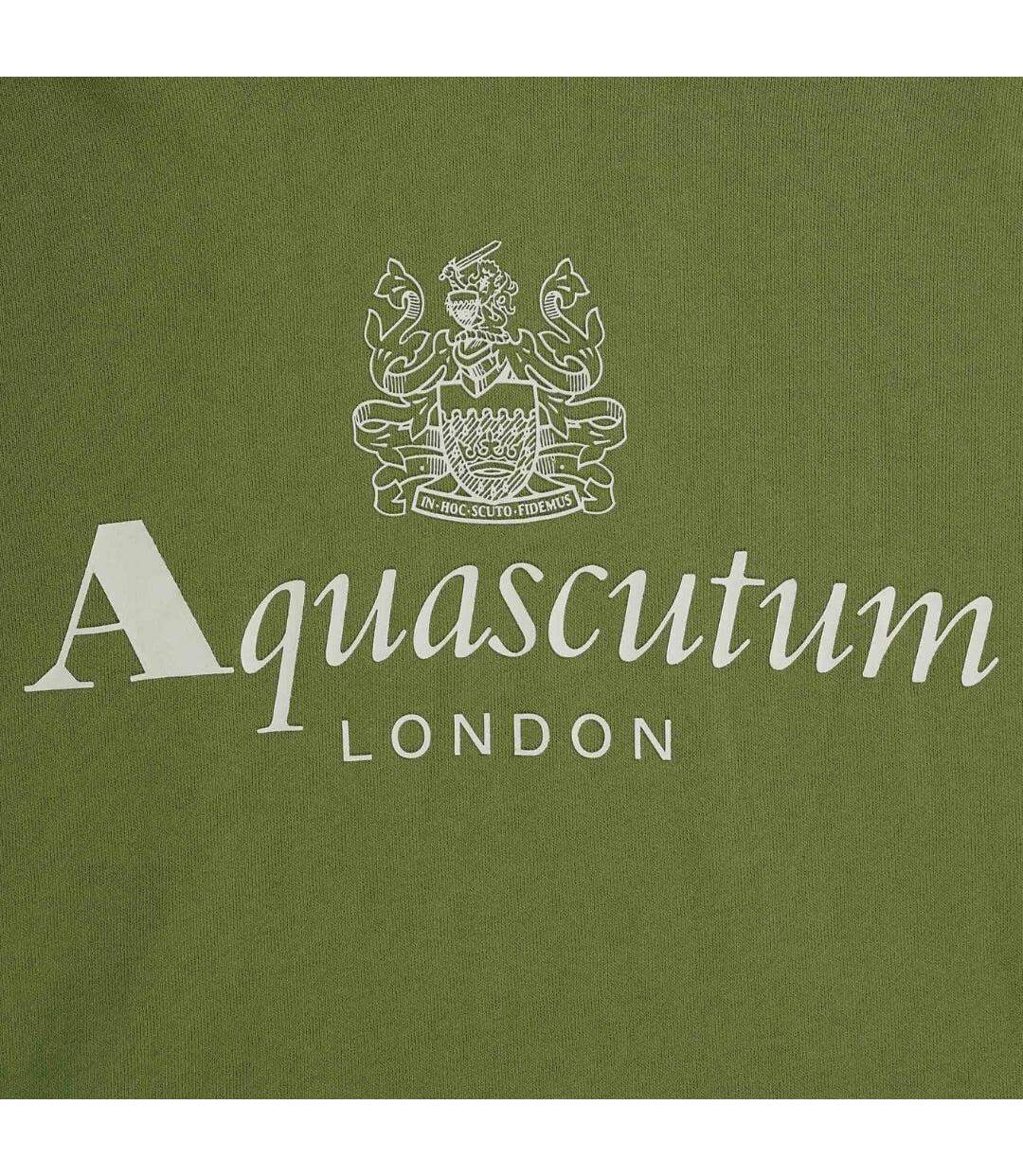 Sweat À Capuche Motif Gros Logo Active Homme Vert Aquascutum-2