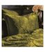 Paoletti Palmeria Velvet Quilted Duvet Set (Moss) - UTRV3326