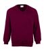 Maddins Mens Colorsure V-Neck Sweatshirt (Burgundy) - UTRW844