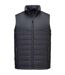 Veste Sans Manches Professional Femme Gris Portwest-1