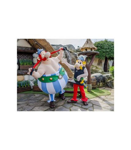 Billets pour le Parc Astérix : 2 entrées adulte en 2025 - SMARTBOX - Coffret Cadeau Multi-thèmes