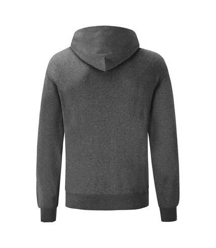 Fruit of the Loom Adults Unisex Classic Hooded Sweatshirt (Dark Grey) - UTPC3884