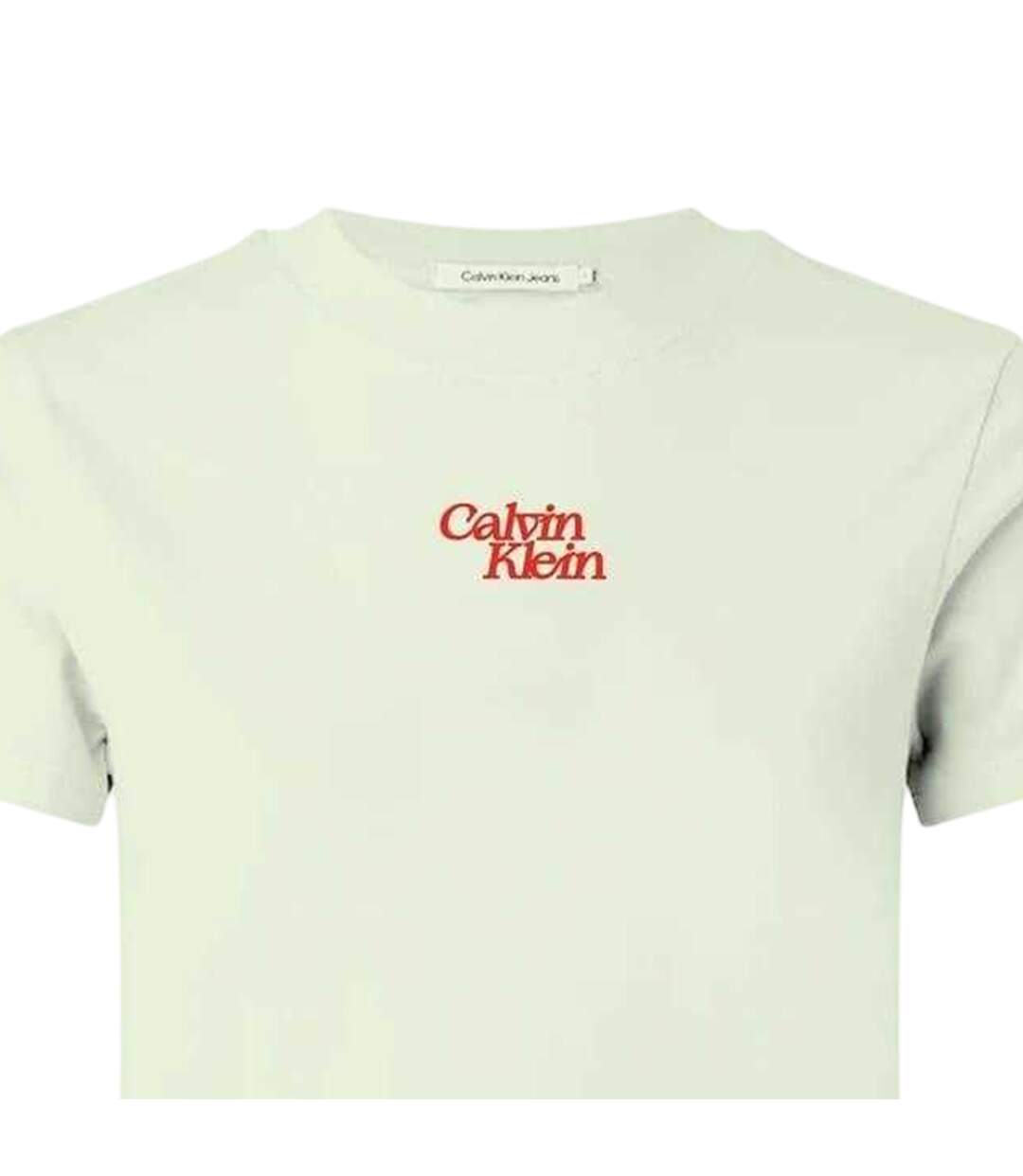 Womens/ladies Flock Print Crew Neck Short-sleeved T-shirt Mint Green Calvin Klein-2