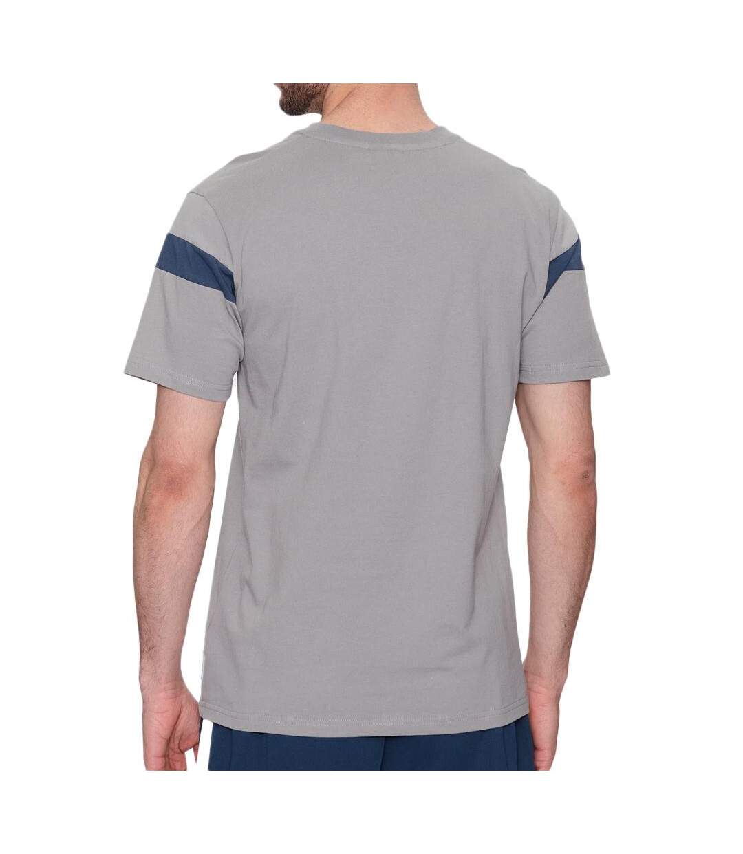 T-shirt Gris Homme Ellesse Caserio - L