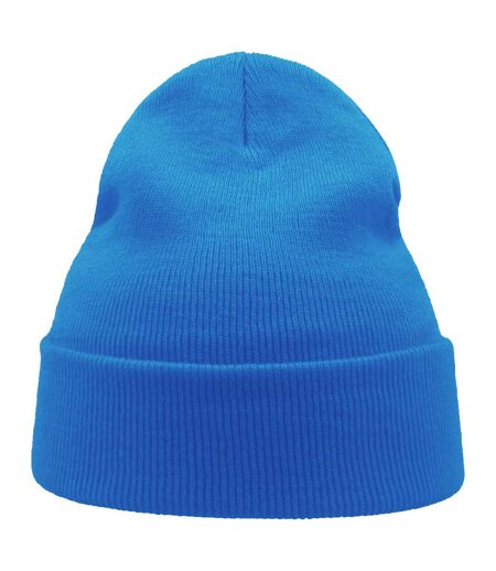 Unisex Adult Wind Recycled Cuffed Beanie Sapphire Atlantis